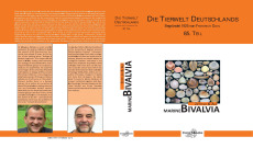 Muscheln Deutschlands