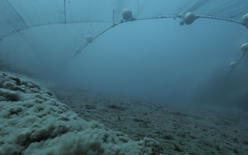 KI-Grafik, die verdeutlicht, dass Schiffsverkehr gravierende Auswirkungen auf den Ostseegrund hat: Schraubenwasser wirbelt feine Sedimente auf, während sich rund um größere Steine erosionsbedingte Vertiefungen bilden.