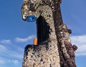 IOW-UV-Strahler gegen Biofouling