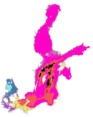 Map of the distribution of 10 most frequent macrozoobenthos communities