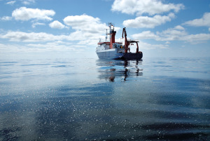 Gas bubbles at the sea surface