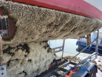 Mecklenburgischer Yachtclub Rostock e.V.