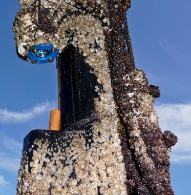 Das jetzt patentierte, UV-Licht-basierte Antifouling-System des IOW verhindert Seepockenbewuchs auf Unterwassersensoren.