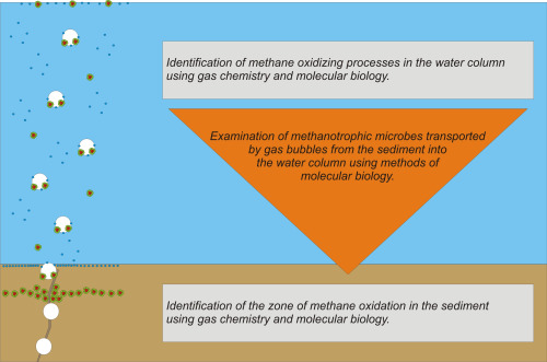 Scheme Bubble Shuttle