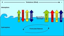 Surface Microlayer