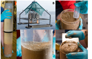 Multicorer Protist Sampling