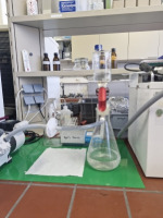 Filtration von Phytoplankton