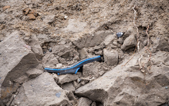 Plastikschuh im Sediment