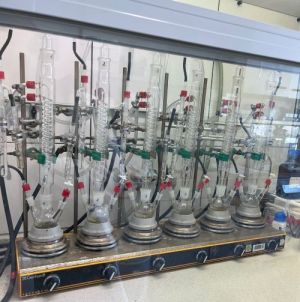 FS Elisabeth-Mann-Borgese