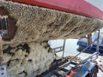 Mecklenburgischer Yachtclub Rostock e.V.