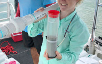 Marine chemist Mary Zeller taking samples in the study area of the seagrass study in Florida Bay together with her colleague and co-author Chris Lopes