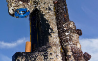 The IOW's newly patented UV light-based anti-fouling system prevents barnacle growth on underwater sensors.