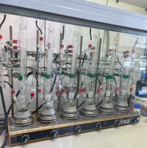 FS Elisabeth-Mann-Borgese