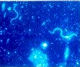 Microbial Ecology