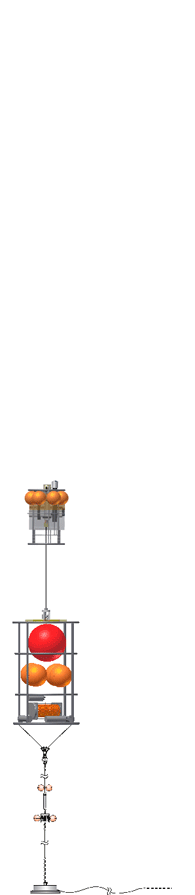 Schema der Verankerung