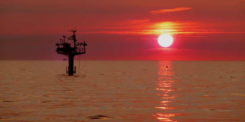 Teaser Warnemünder Abende 2026