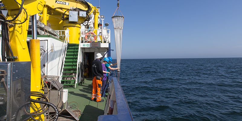 Teaser Biologischer Zustandsbericht 2024