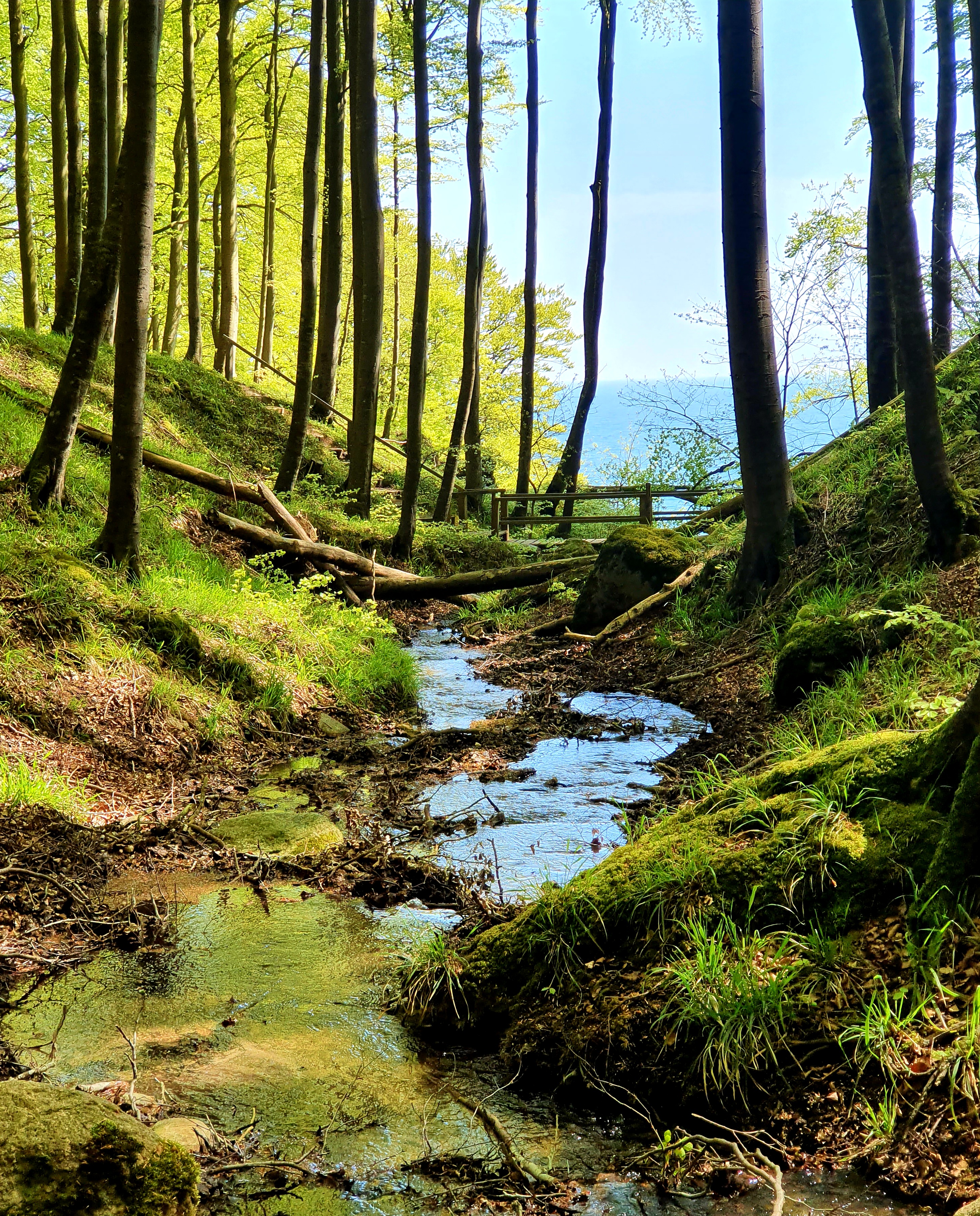 Successfull sampling campaign n the impact of hard water creeks on the carbon system of the southern Baltic Sea
